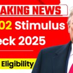 $1702 Stimulus Checks 2025