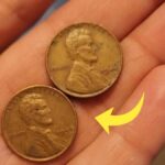 $2.9 Billion Lincoln Wheat Penny