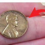 The Lincoln Wheat Penny